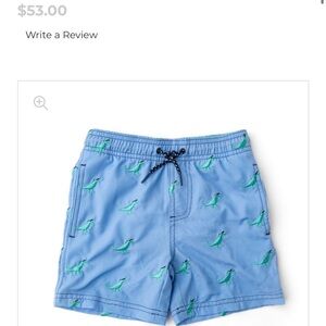 NWT Shade Critters Boys Light Blue Dinosaur Embroidered Swim Trunks Size 6